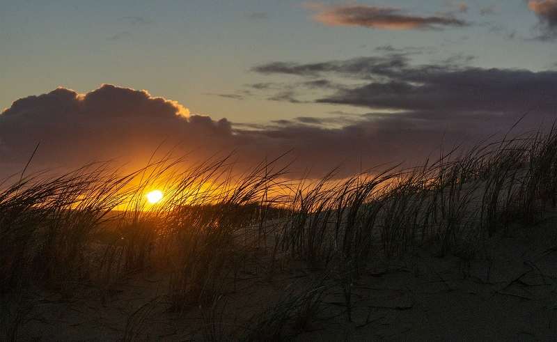 Norderney: Wo man es richtig gut gehen lässt